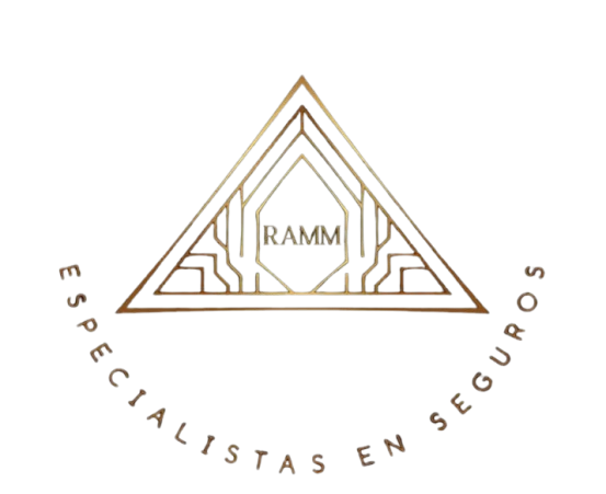 RAMM Asesores Financieros